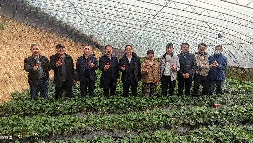 九游j9国际站中国有限责公司 | 2022年大力发展种植基地，助农民小康、市民健康